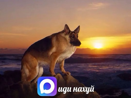 Klitor_Parker